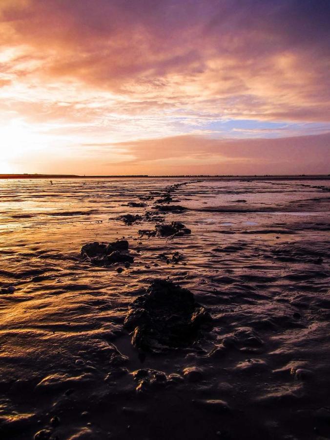 Vissershuisje Aan De Waddenzee Paesens Zewnętrze zdjęcie